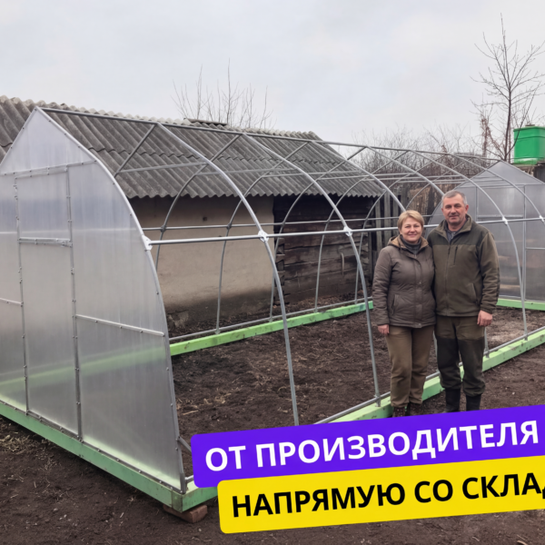Теплица "Капля" из поликарбоната 3х8м