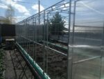 Теплица Прямостенная 3х6х2.1м — изображение 3