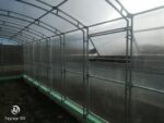 Теплица Прямостенная 3х12х2.1м — изображение 6